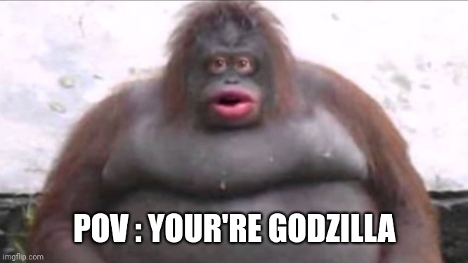 MONKE | POV : YOUR'RE GODZILLA | image tagged in monke | made w/ Imgflip meme maker
