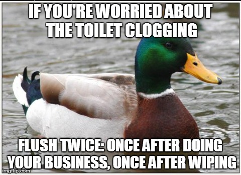 Actual Advice Mallard Meme | IF YOU'RE WORRIED ABOUT THE TOILET CLOGGING FLUSH TWICE: ONCE AFTER DOING YOUR BUSINESS, ONCE AFTER WIPING | image tagged in memes,actual advice mallard | made w/ Imgflip meme maker