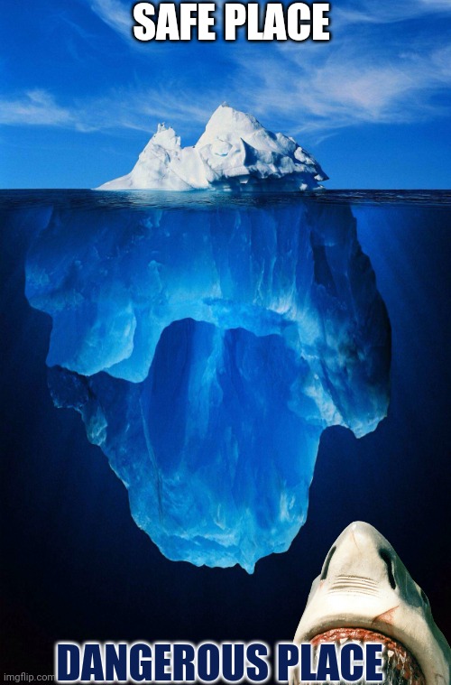 The safe and dangerous place of an iceberg | SAFE PLACE; DANGEROUS PLACE | image tagged in iceberg,shark,ocean | made w/ Imgflip meme maker