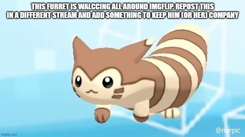 A | THIS FURRET IS WALCCING ALL AROUND IMGFLIP. REPOST THIS IN A DIFFERENT STREAM AND ADD SOMETHING TO KEEP HIM (OR HER) COMPANY | image tagged in furret walcc | made w/ Imgflip meme maker