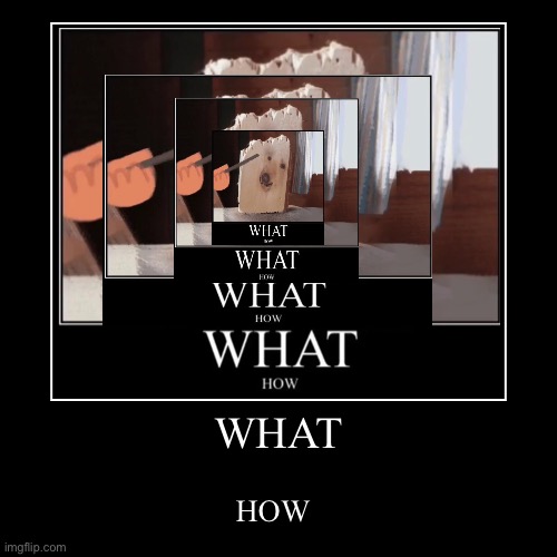 WHAT HOW | image tagged in funny,demotivationals | made w/ Imgflip demotivational maker