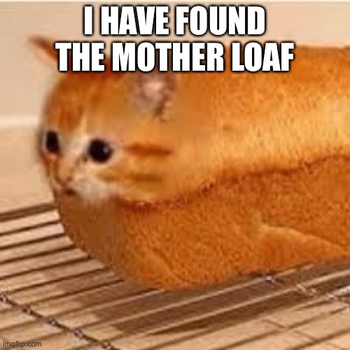 Yes I have found it | I HAVE FOUND THE MOTHER LOAF | image tagged in meatloaf | made w/ Imgflip meme maker