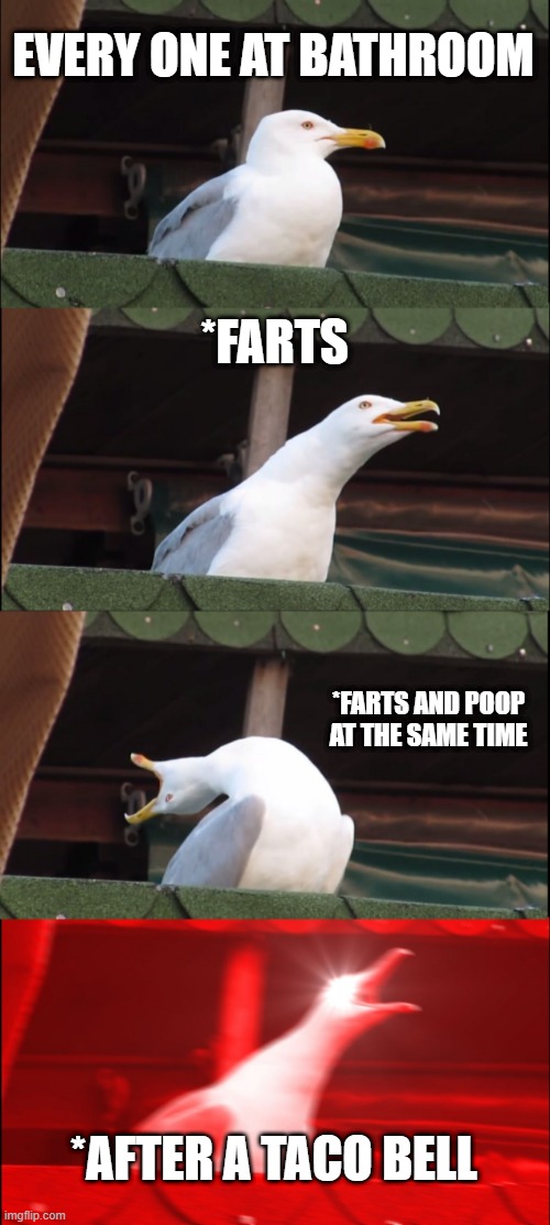 me when taco bell |  EVERY ONE AT BATHROOM; *FARTS; *FARTS AND POOP AT THE SAME TIME; *AFTER A TACO BELL | image tagged in memes,inhaling seagull,me when taco bell,poop,funny | made w/ Imgflip meme maker