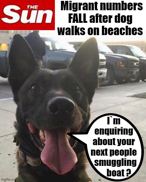 Dog Walkers | Migrant numbers
FALL after dog     
walks on beaches; I`m
enquiring
about your
next people
  smuggling
      boat ? | image tagged in illegal immigrants | made w/ Imgflip meme maker