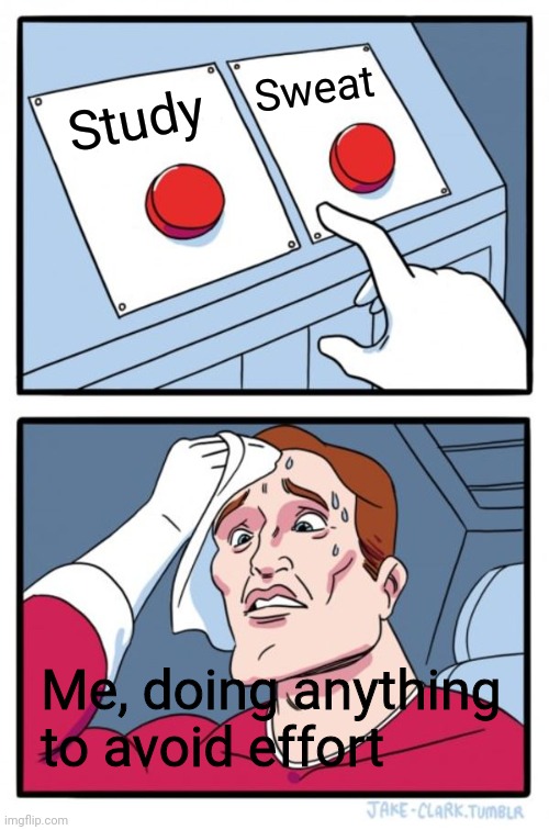 Do I even have a choice | Sweat; Study; Me, doing anything to avoid effort | image tagged in memes,two buttons | made w/ Imgflip meme maker