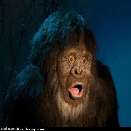 Big foot | image tagged in big foot | made w/ Imgflip meme maker
