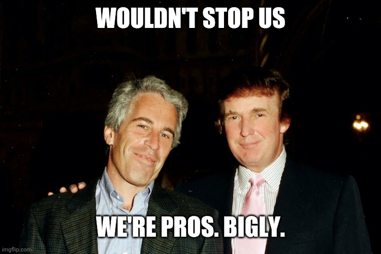 WOULDN'T STOP US WE'RE PROS. BIGLY. | made w/ Imgflip meme maker