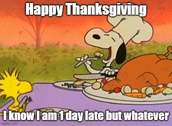 Why is the National Bird of Turkey not the Turkey | Happy Thanksgiving; I know I am 1 day late but whatever | image tagged in charlie brown thanksgiving | made w/ Imgflip meme maker