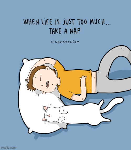 A Cat's Way Of Thinking | image tagged in memes,comics,cats,life,too much,nap time | made w/ Imgflip meme maker