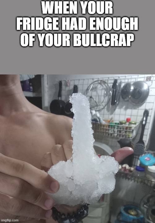 We found this in our freezer part of the fridge... Is this a sign?? | WHEN YOUR FRIDGE HAD ENOUGH OF YOUR BULLCRAP | image tagged in random bullshit go | made w/ Imgflip meme maker