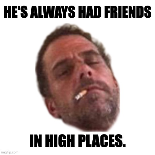 In every conceivable way | HE'S ALWAYS HAD FRIENDS; IN HIGH PLACES. | image tagged in hunter biden wasted smoking 3 | made w/ Imgflip meme maker