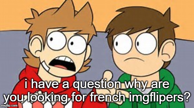 Eddsworld | i have a question why are you looking for french imgflipers? | image tagged in eddsworld | made w/ Imgflip meme maker