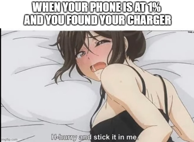 WHEN YOUR PHONE IS AT 1%  AND YOU FOUND YOUR CHARGER | image tagged in charger,anime | made w/ Imgflip meme maker