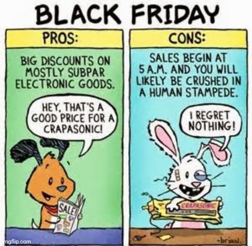 Black Friday pros and cons | image tagged in black friday,comics/cartoons,comics,comic | made w/ Imgflip meme maker