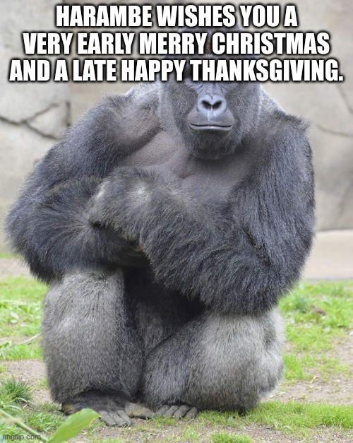 I miss Harambe. o7 in the chat boys. | HARAMBE WISHES YOU A VERY EARLY MERRY CHRISTMAS AND A LATE HAPPY THANKSGIVING. | image tagged in harambe,memes | made w/ Imgflip meme maker