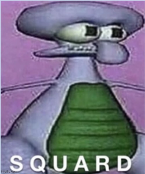 S Q A R D | image tagged in s q a r d | made w/ Imgflip meme maker