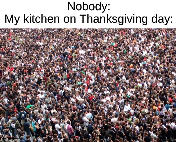 Relatable, anyone? | image tagged in thanksgiving,happy thanksgiving,my kitchen be like,crowd of people | made w/ Imgflip meme maker