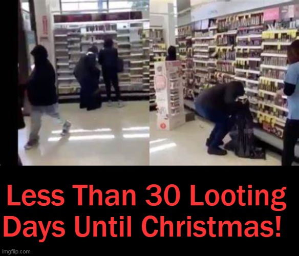 PSA | Less Than 30 Looting 
Days Until Christmas! | image tagged in politics,criminals,leftists,lawless,liberalism,lunacy | made w/ Imgflip meme maker
