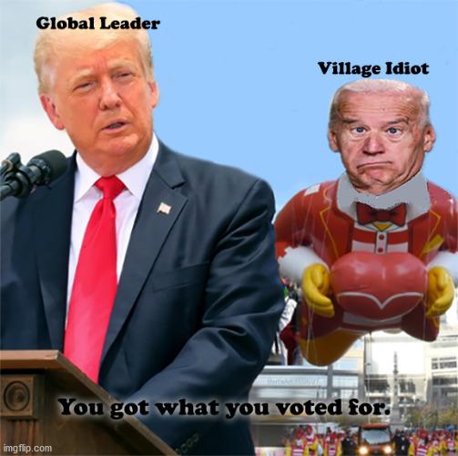 From Global Leader to Village Idiot You Got What You Voted For | image tagged in memes,politically correct,trump biden brandon,rittenhouse brooks,holidays,fun memes | made w/ Imgflip meme maker