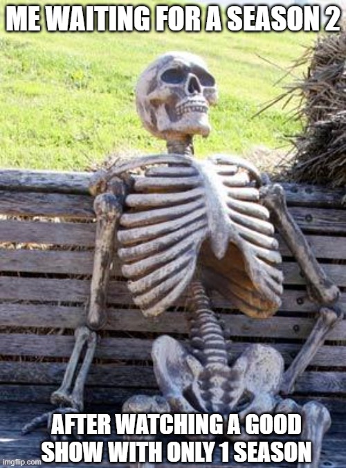 A | ME WAITING FOR A SEASON 2; AFTER WATCHING A GOOD SHOW WITH ONLY 1 SEASON | image tagged in memes,waiting skeleton | made w/ Imgflip meme maker