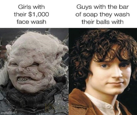 image tagged in memes,imgflip,funny,funny memes,lotr | made w/ Imgflip meme maker