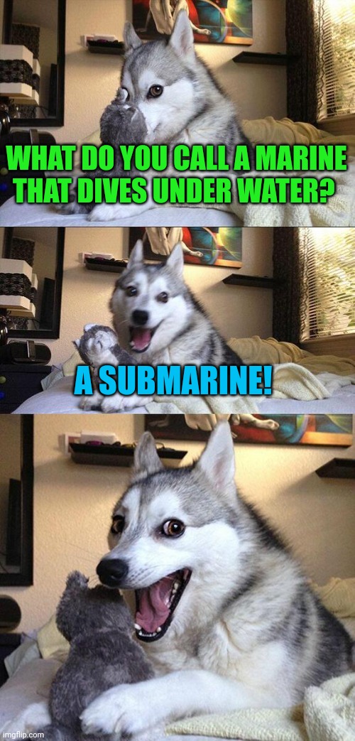 Marine-submarine | WHAT DO YOU CALL A MARINE THAT DIVES UNDER WATER? A SUBMARINE! | image tagged in memes,bad pun dog | made w/ Imgflip meme maker