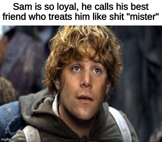 Sam is so loyal, he calls his best friend who treats him like shit "mister" | image tagged in memes,imgflip,funny,funny memes,lotr | made w/ Imgflip meme maker