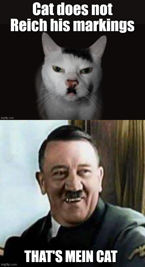 THAT'S MEIN CAT | image tagged in laughing hitler,dark humor | made w/ Imgflip meme maker
