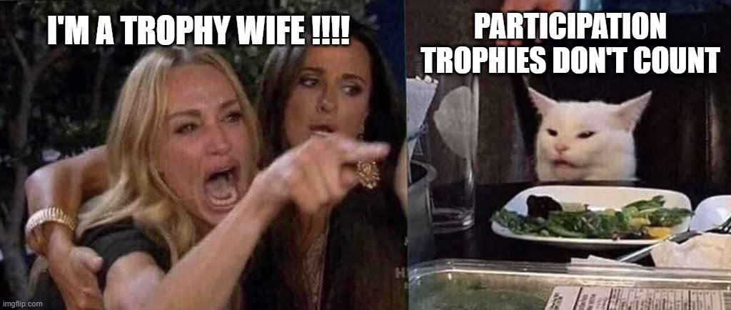 woman yelling at cat | I'M A TROPHY WIFE !!!! PARTICIPATION TROPHIES DON'T COUNT | image tagged in woman yelling at cat | made w/ Imgflip meme maker