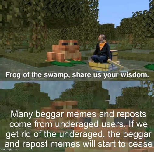 Truth | Many beggar memes and reposts come from underaged users. If we get rid of the underaged, the beggar and repost memes will start to cease | image tagged in frog of the swamp share us your wisdom | made w/ Imgflip meme maker