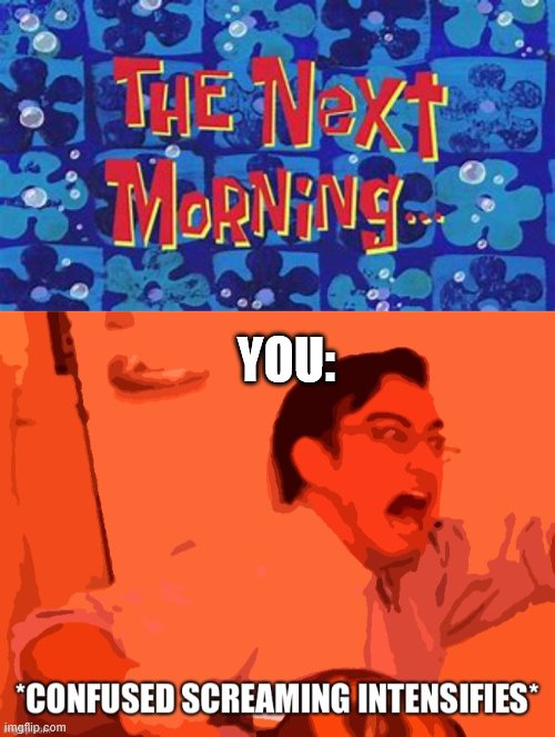 YOU: | image tagged in the next morning,confused screaming intensifies | made w/ Imgflip meme maker