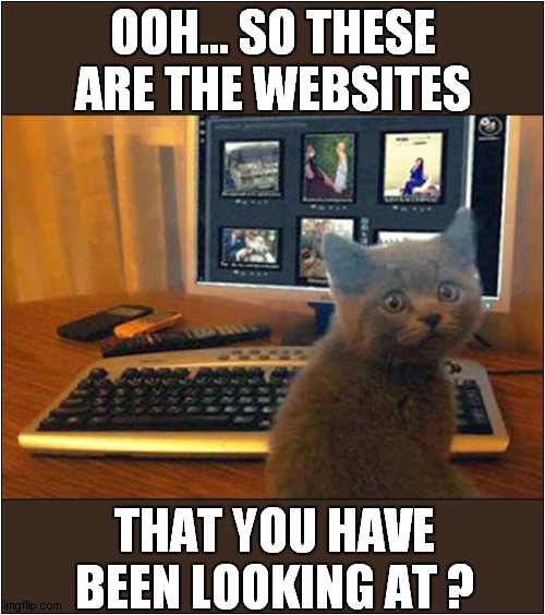 Judgemental Kitten ! | OOH... SO THESE ARE THE WEBSITES; THAT YOU HAVE BEEN LOOKING AT ? | image tagged in cats,judgemental,websites | made w/ Imgflip meme maker