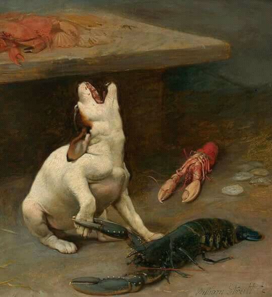 Dog snipped by lobster Blank Meme Template