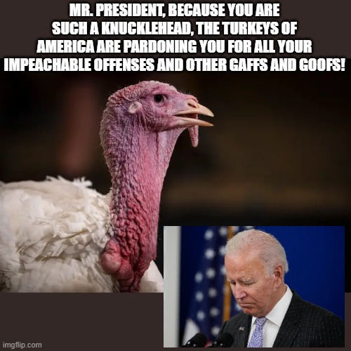 Joe Biden | MR. PRESIDENT, BECAUSE YOU ARE SUCH A KNUCKLEHEAD, THE TURKEYS OF AMERICA ARE PARDONING YOU FOR ALL YOUR IMPEACHABLE OFFENSES AND OTHER GAFFS AND GOOFS! | image tagged in thanksgiving | made w/ Imgflip meme maker