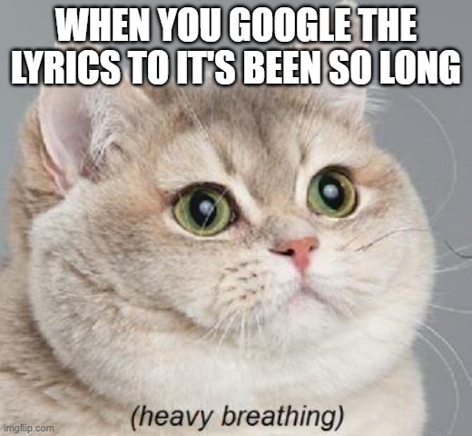 Heavy Breathing Cat | WHEN YOU GOOGLE THE LYRICS TO IT'S BEEN SO LONG | image tagged in memes,heavy breathing cat | made w/ Imgflip meme maker
