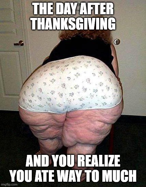 Way to much pie, can i have sseconds after my thirds | THE DAY AFTER THANKSGIVING; AND YOU REALIZE YOU ATE WAY TO MUCH | image tagged in holidays,people,eat to much | made w/ Imgflip meme maker