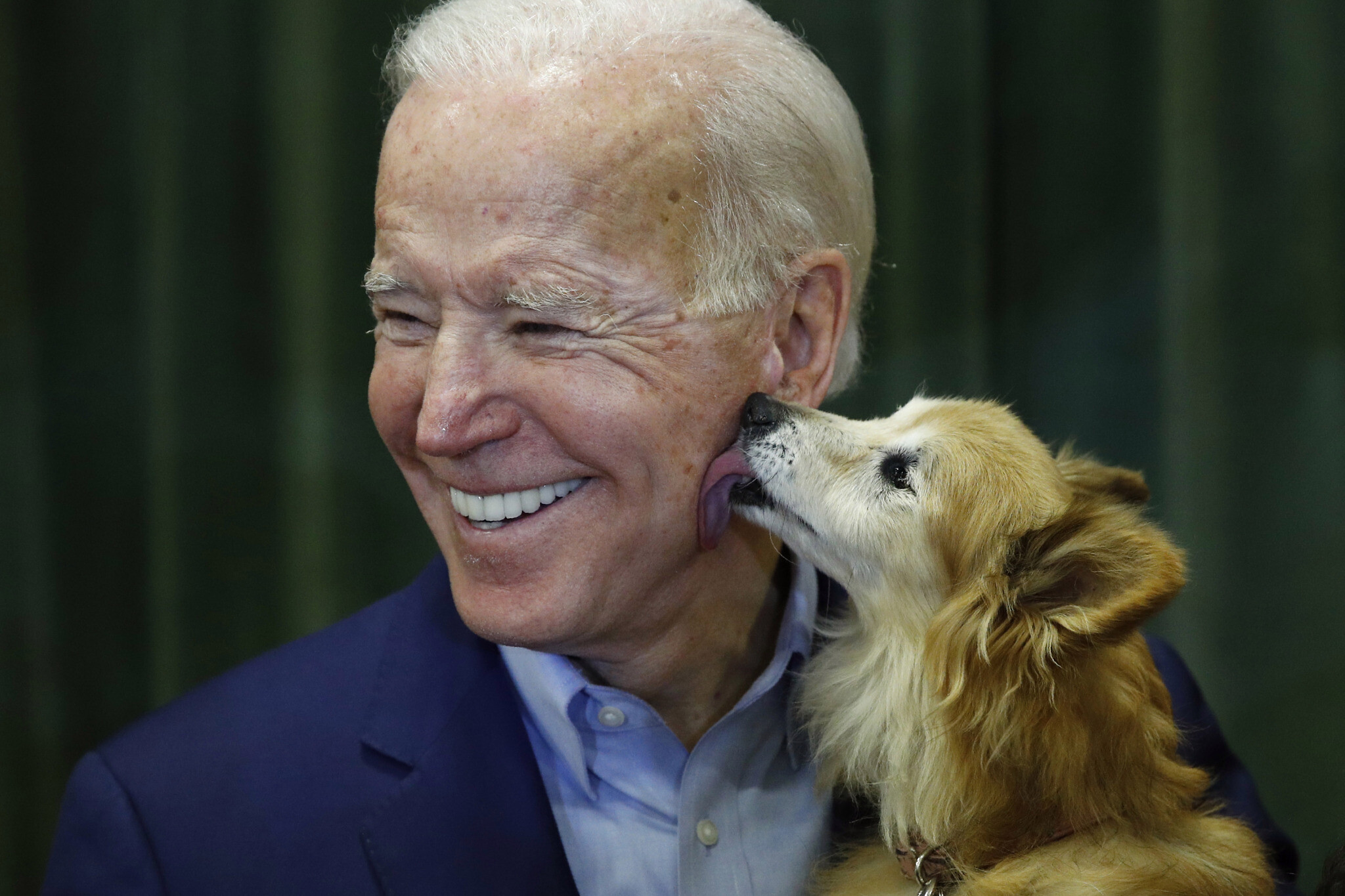 High Quality Dog licking Biden Blank Meme Template