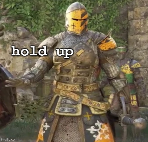 "hold up" crusader | image tagged in hold up crusader | made w/ Imgflip meme maker