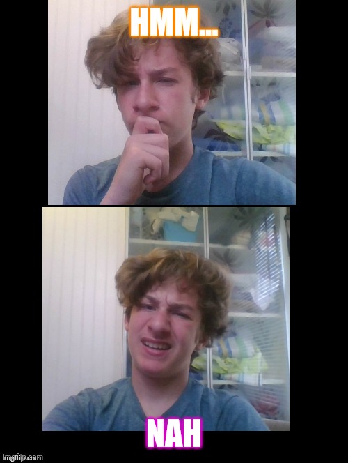 Hmmm...no | HMM... NAH | image tagged in hmmm no | made w/ Imgflip meme maker