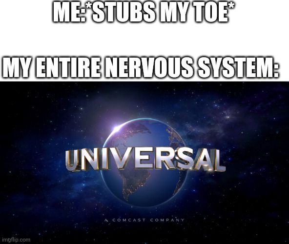 Universal logo | ME:*STUBS MY TOE* MY ENTIRE NERVOUS SYSTEM: | image tagged in universal logo | made w/ Imgflip meme maker
