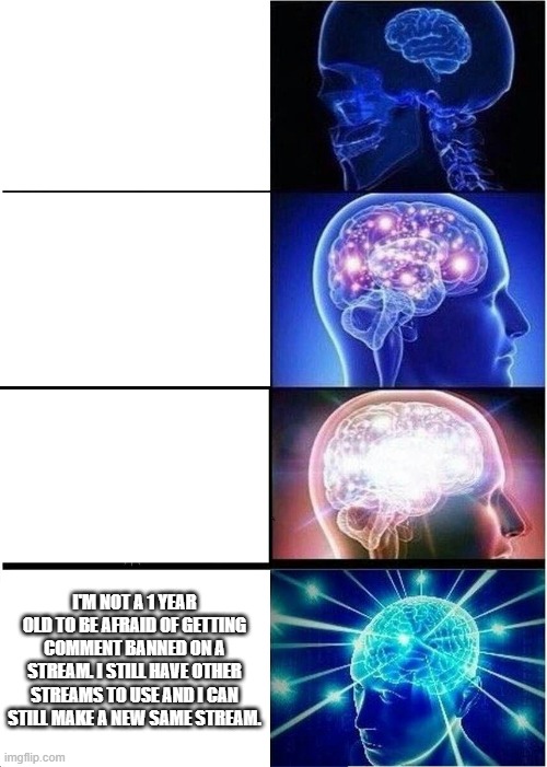 Expanding Brain Meme | I'M NOT A 1 YEAR OLD TO BE AFRAID OF GETTING COMMENT BANNED ON A STREAM. I STILL HAVE OTHER STREAMS TO USE AND I CAN STILL MAKE A NEW SAME STREAM. | image tagged in memes,expanding brain | made w/ Imgflip meme maker