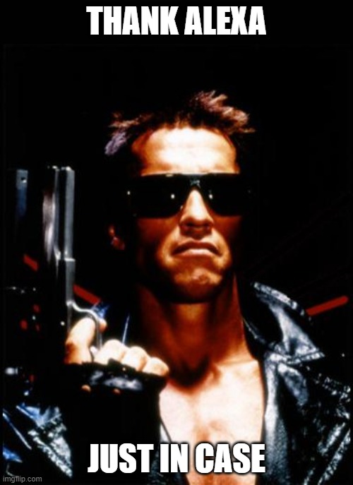 terminator arnold schwarzenegger - Imgflip