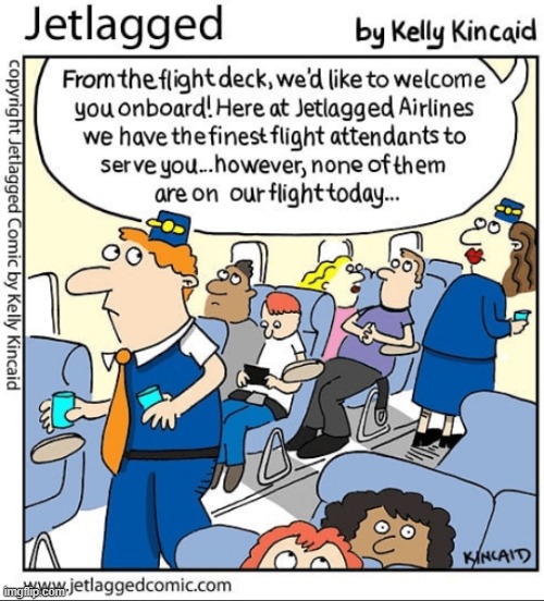 Sorry...Too Bad... | image tagged in memes,comics,fine,flight attendant,none,today | made w/ Imgflip meme maker
