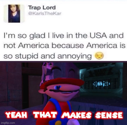 Wow your so smart! | image tagged in mario that make sense,memes,stupid people,oh wow are you actually reading these tags | made w/ Imgflip meme maker