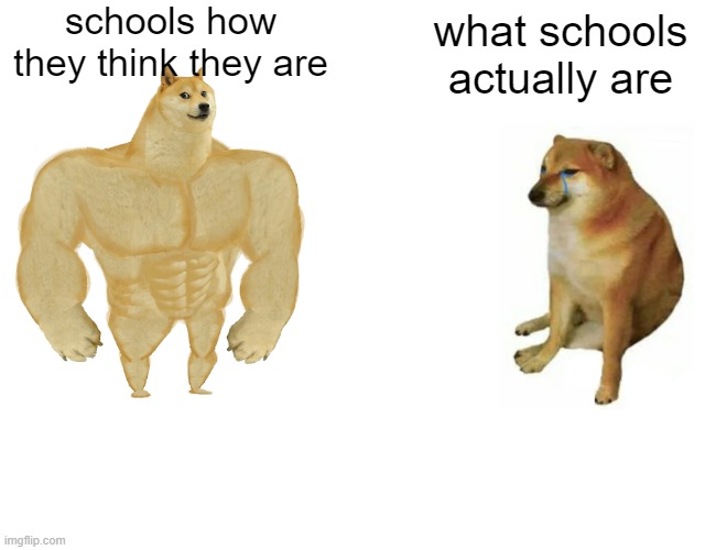 Buff Doge vs. Cheems | schools how they think they are; what schools actually are | image tagged in memes,buff doge vs cheems | made w/ Imgflip meme maker