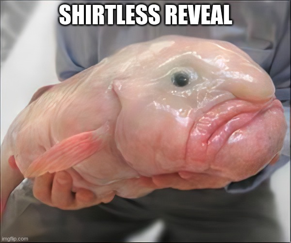 SHIRTLESS REVEAL | made w/ Imgflip meme maker