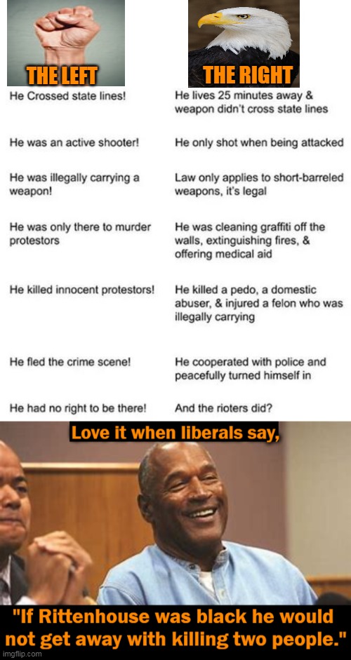 One Only Needs a Smidgen of Common Sense & Decency to Support The Right Over The Left's Chaotic Agenda |  THE RIGHT; THE LEFT | image tagged in politics,right vs left,kyle rittenhouse,oj simpson,liberals vs conservatives,the truth | made w/ Imgflip meme maker