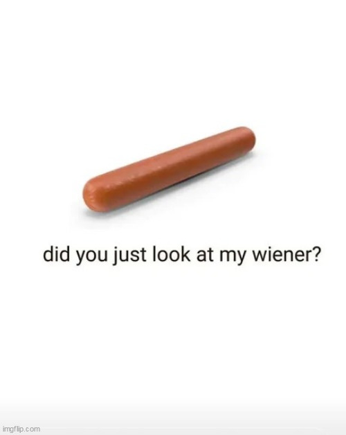 wiener | image tagged in wiener | made w/ Imgflip meme maker