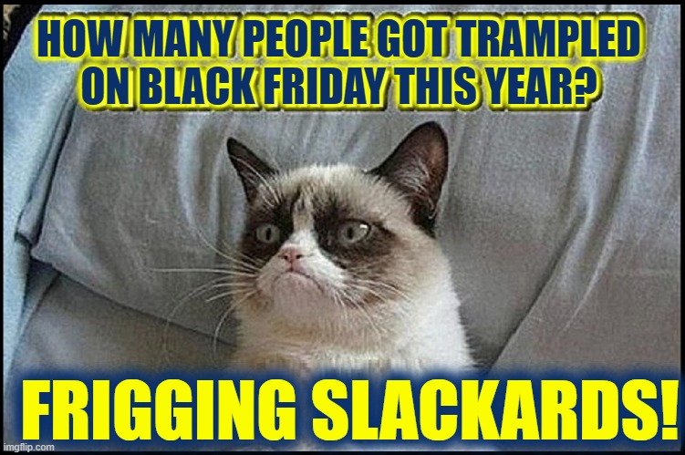 Attention Dog Owners: Get out there & fight for your rightful gifts | HOW MANY PEOPLE GOT TRAMPLED ON BLACK FRIDAY THIS YEAR? FRIGGING SLACKARDS! | image tagged in vince vance,grumpy cat,cats,black friday matters,funny cat memes,slacker | made w/ Imgflip meme maker