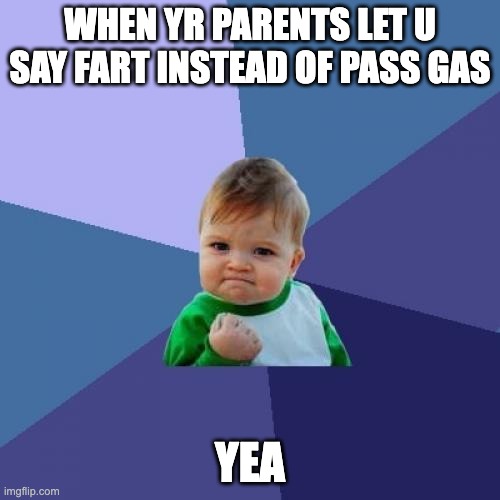 i wish | WHEN YR PARENTS LET U SAY FART INSTEAD OF PASS GAS; YEA | image tagged in memes,success kid,funny | made w/ Imgflip meme maker